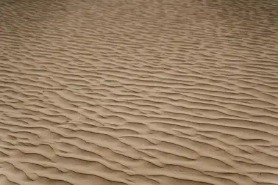 Close-up of desert sand displaying intricate ripple patterns.