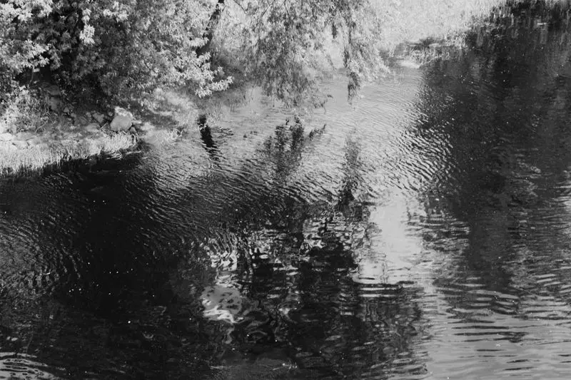 Monochrome image capturing a serene river scene with rippling water and overhanging trees.