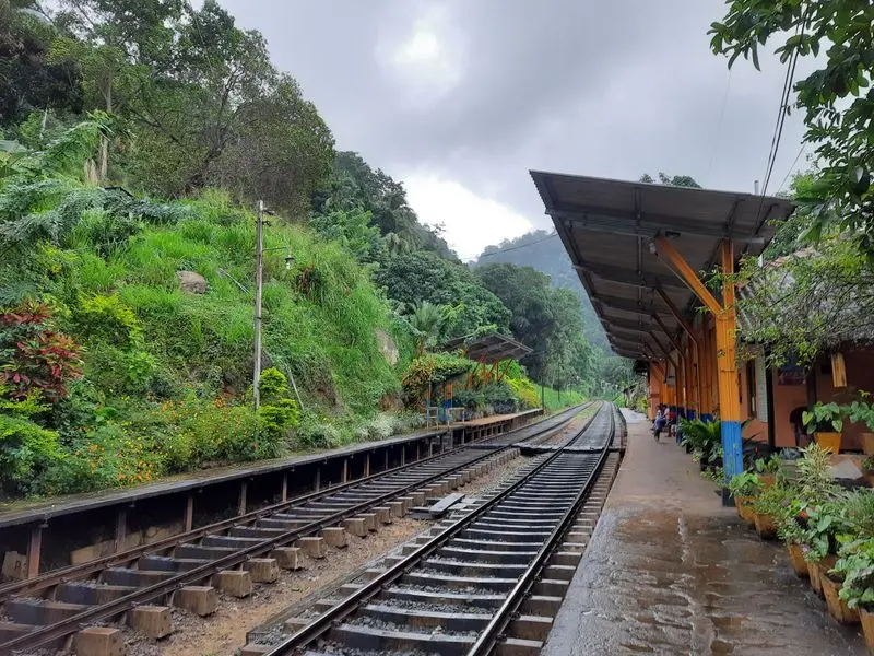 Train tracks at a small station surrounded by dense green forest on an overcast day.