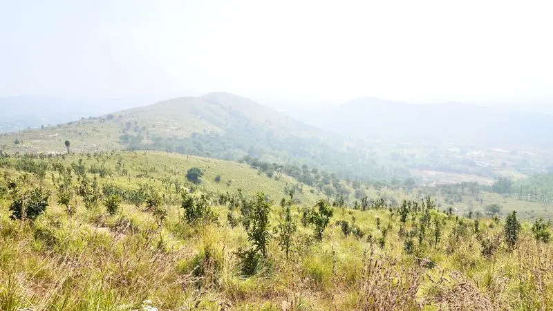 Muluppilagadu, India