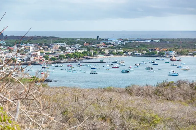 Scenic view of a coastal town with numerous boats in the bay, surrounded by lush vegetation.